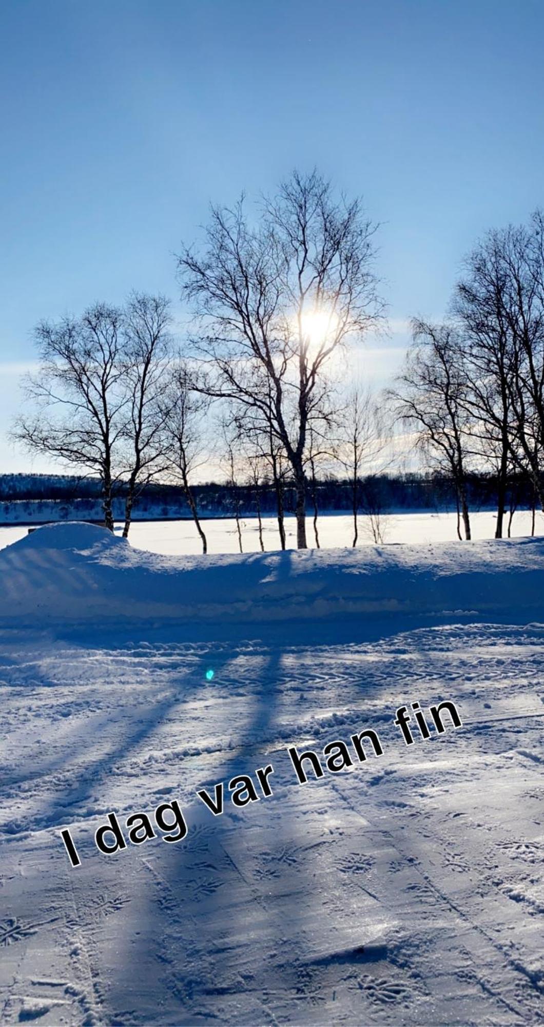 Cottage With Good Standard Next To Neiden River エクステリア 写真